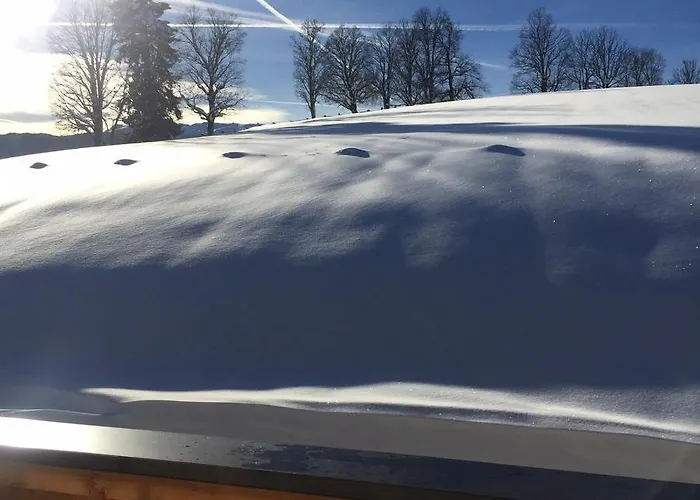 Apartamento Haus Obermoser Flachau